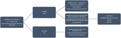 Functional and Prognostic Assessment in Comatose Patients: A Study Using Somatosensory Evoked Potentials